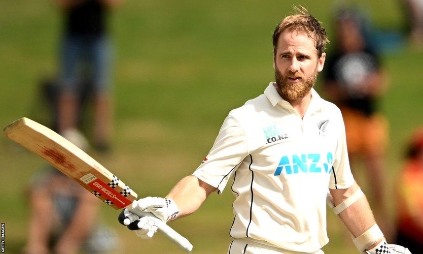 Kane Williamson clebrates century