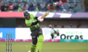 Marcus Stoinis play a shot